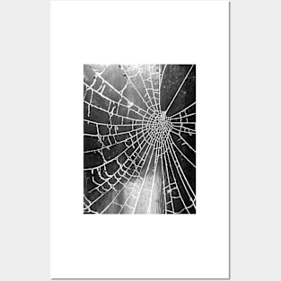 Spider Lace 2 Posters and Art